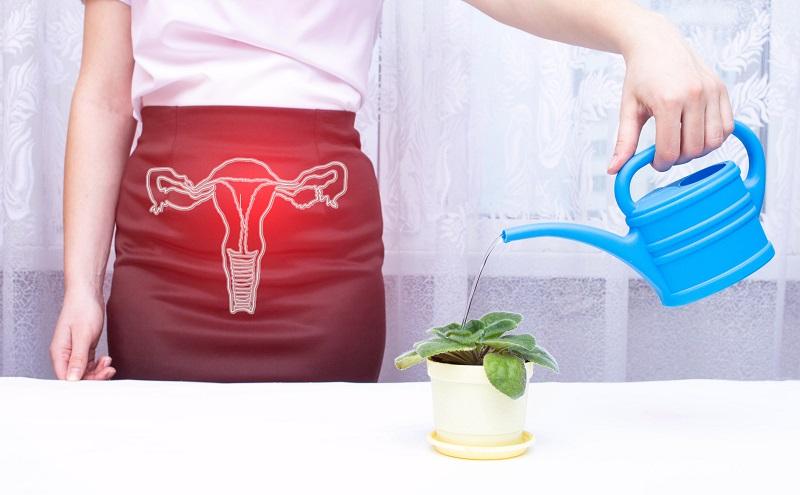 Common Female Urology Problems and How to Treat Them
